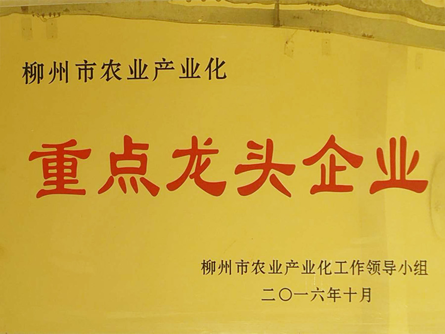 柳州市農(nóng)業(yè)產(chǎn)業(yè)化重點(diǎn)龍頭企業(yè)